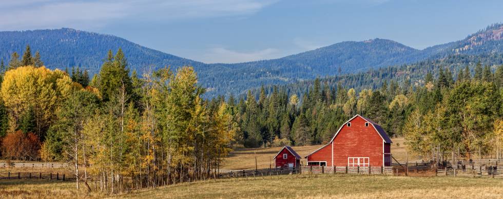 Autumn near Twin Lakes, ID