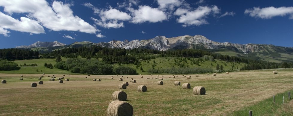 Farming in Big Sky Country