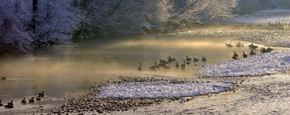 Dawn on a frosty morning along the Boise River