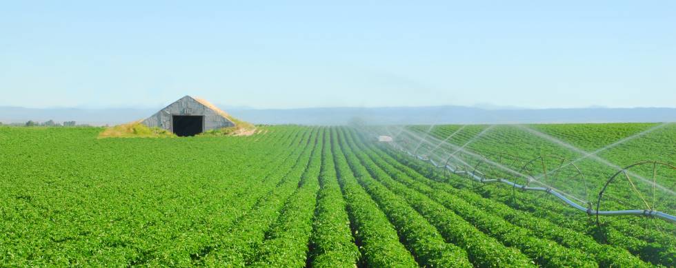 Irrigating a field of Idaho potatoes