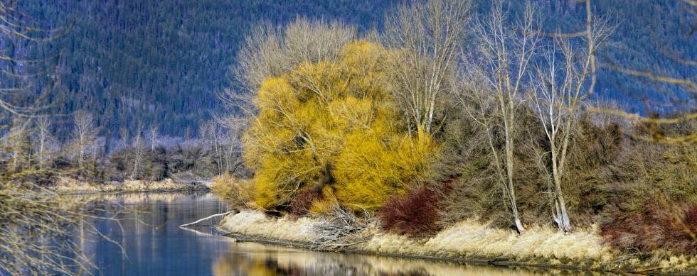 Kootenai River near Bonners Ferry Idaho