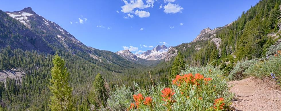 Sawtooth National Recreation Area near Stanley Idaho