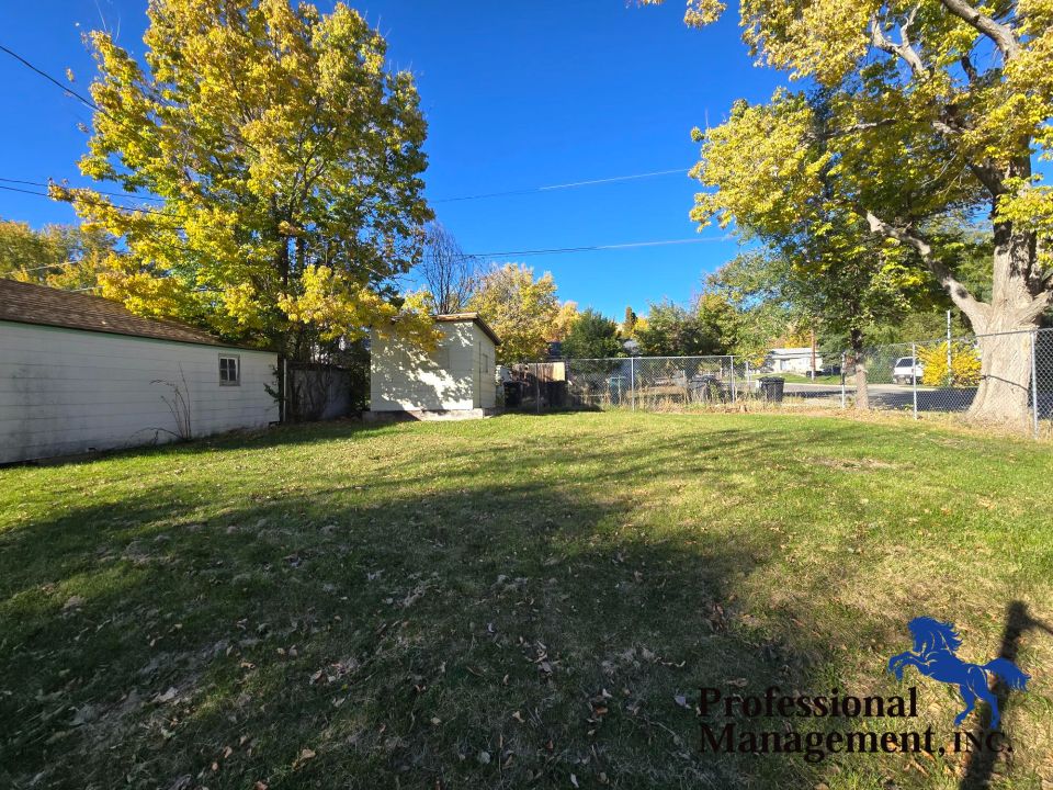 Back Yard