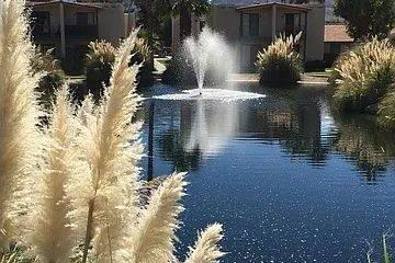 Click to learn more about this rental...