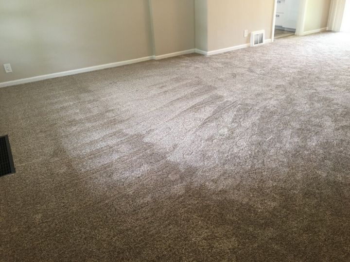 New Carpet Throughout