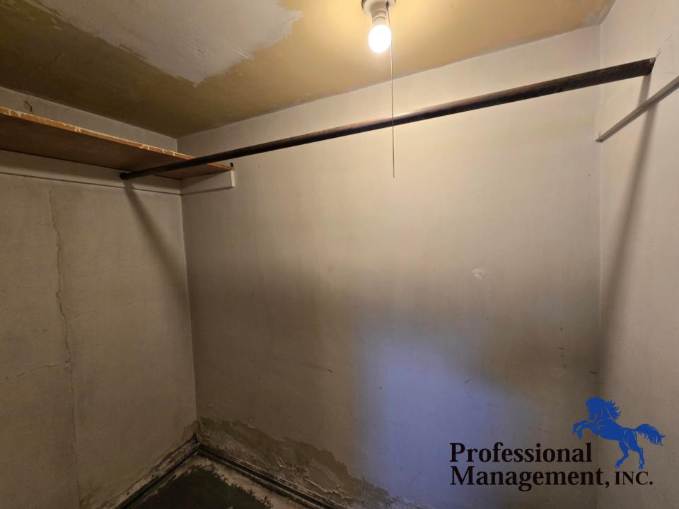 Basement Bonus Closet