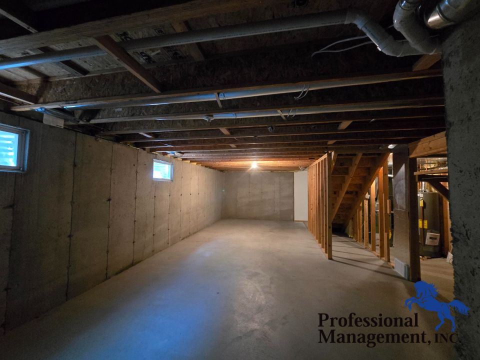 Unfinished Basement