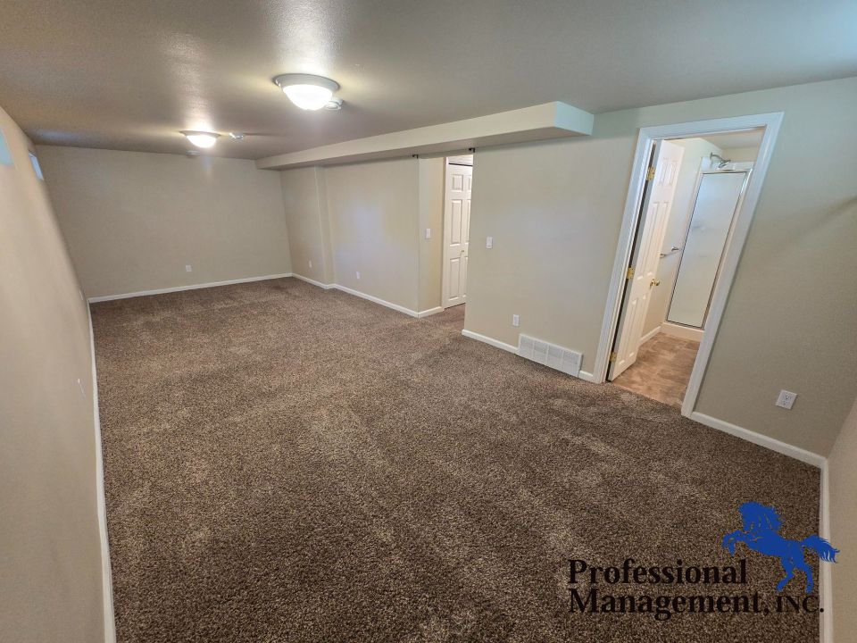 Basement Family Room