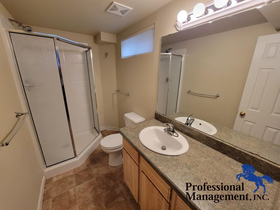 Basement Bathroom