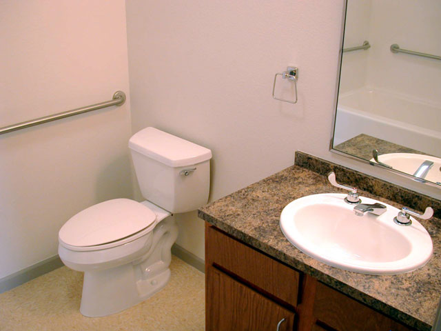 Bathroom with Handrails