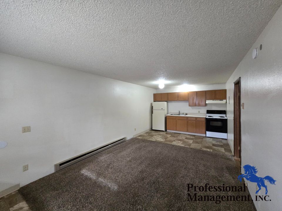 Livingroom and Kitchen