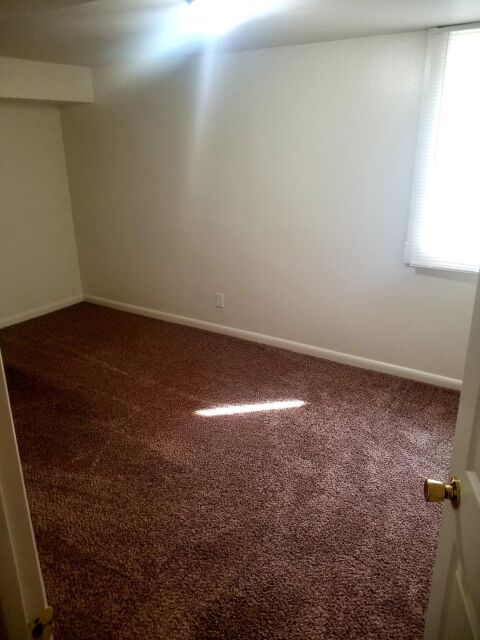 Basement Bedroom