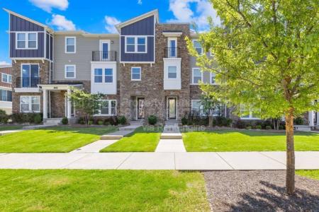 Click to learn more about this rental...