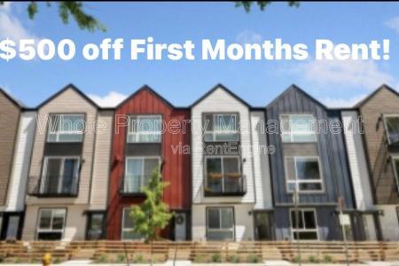 Click to learn more about this rental...