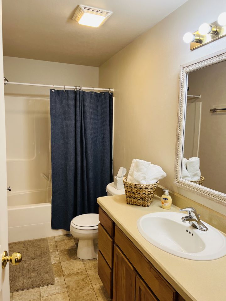 Bathtub Shower with Vanity and Toilet