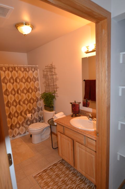 Central Bathroom in a Furnished View