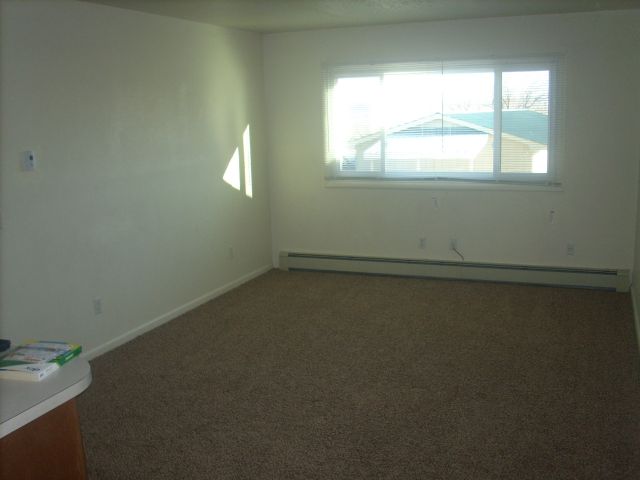 Large Living Room with New Windows