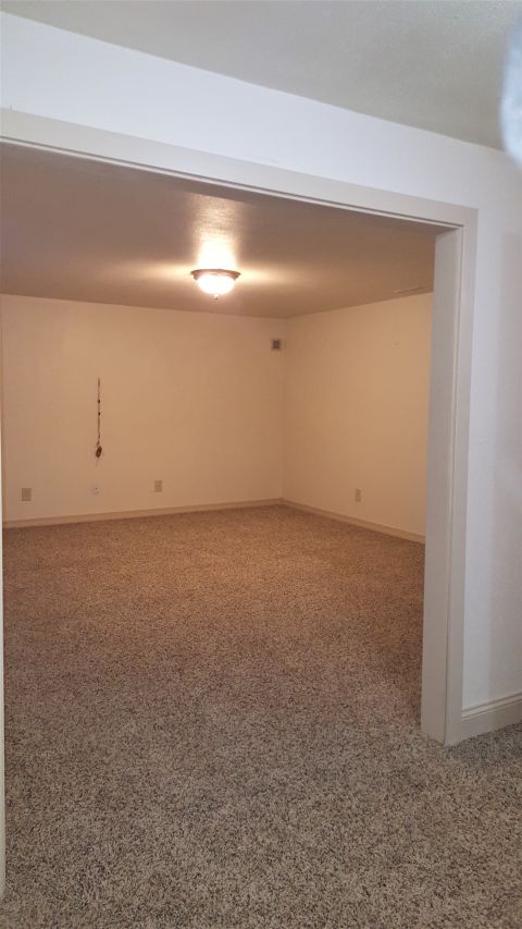 Basement Family Room