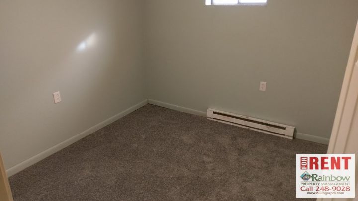 Basement Bedroom