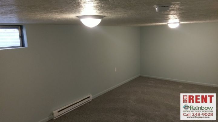 Basement Living Room