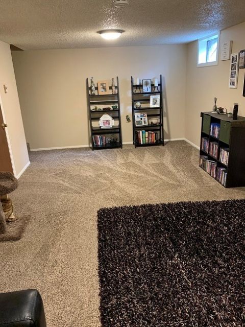 Downstairs Living Room