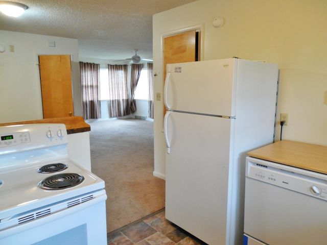 Super Large Living Room Open to Kitchen