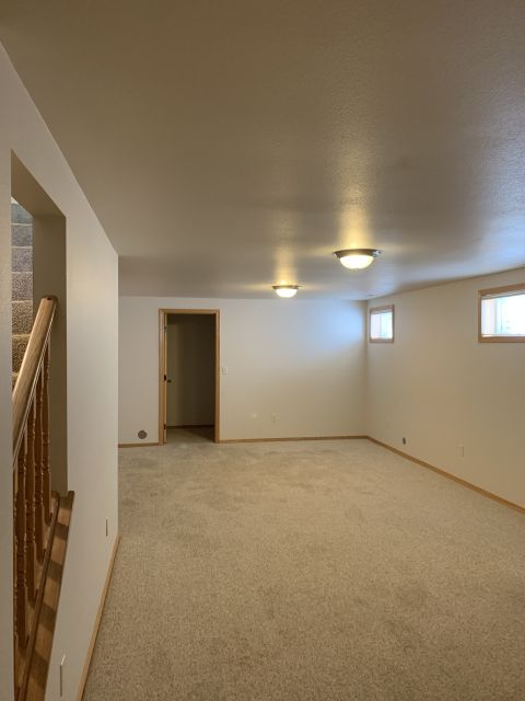 Basement Family Room