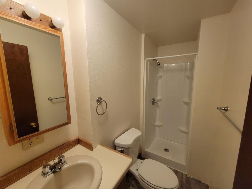 Lower Level Bathroom