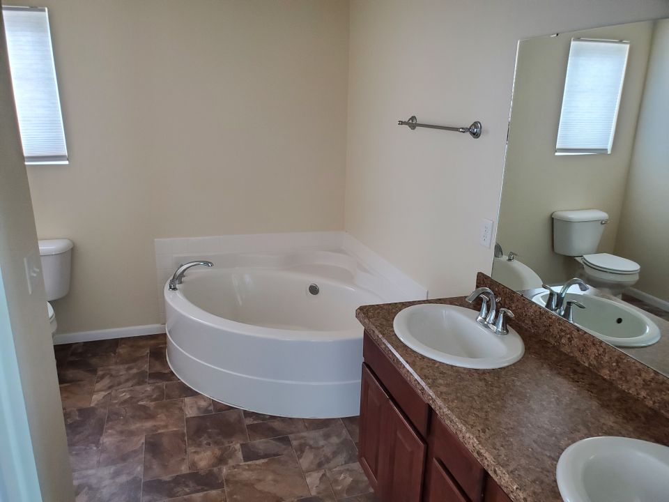 Master Bathroom Jacuzzi Tub and Separate Shower