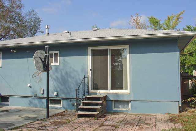 Back View
