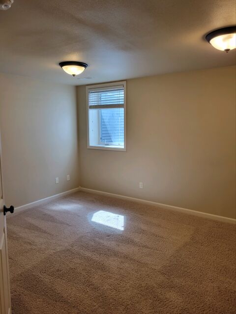 Basement Family Room