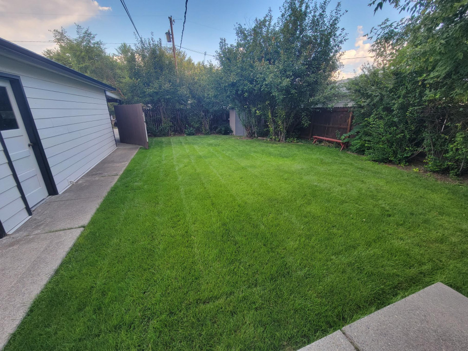 Fully Fenced Backyard with Garage and Shed