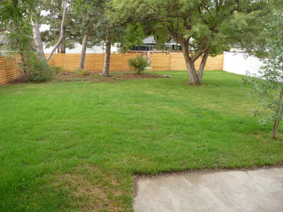 Fenced Backyard