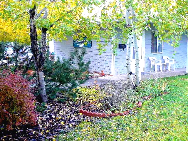 Some of the Beautiful Courtyard