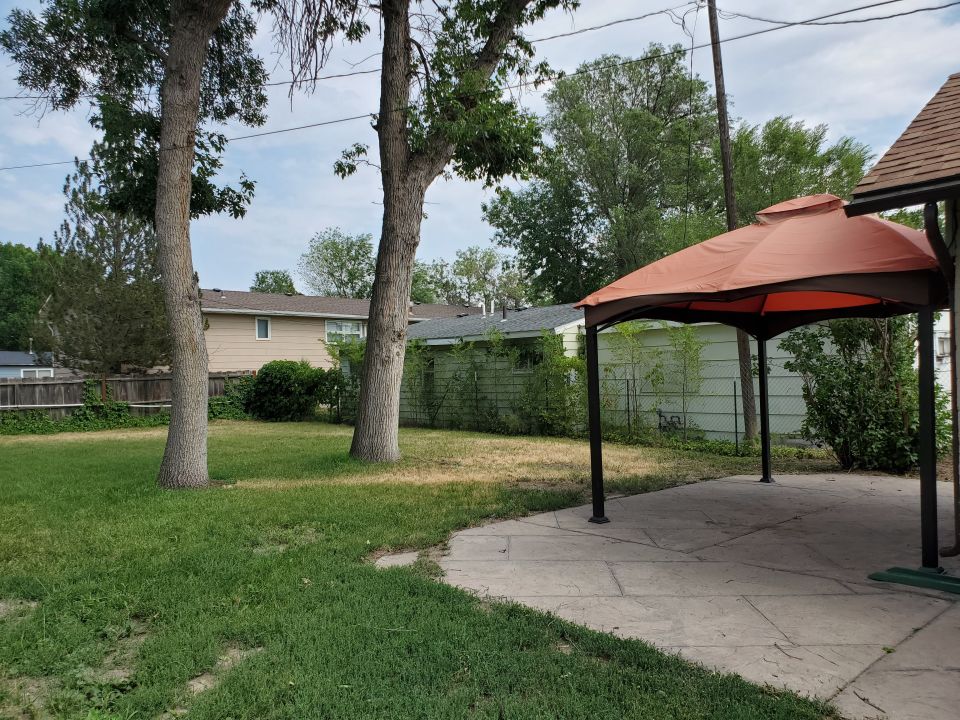 Back Yard, Patio and Gazebo