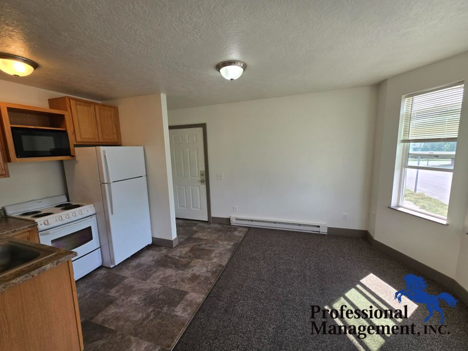Entry /Livingroom