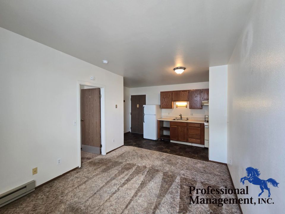 Entry /Livingroom