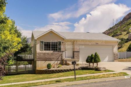 Click to learn more about this rental...