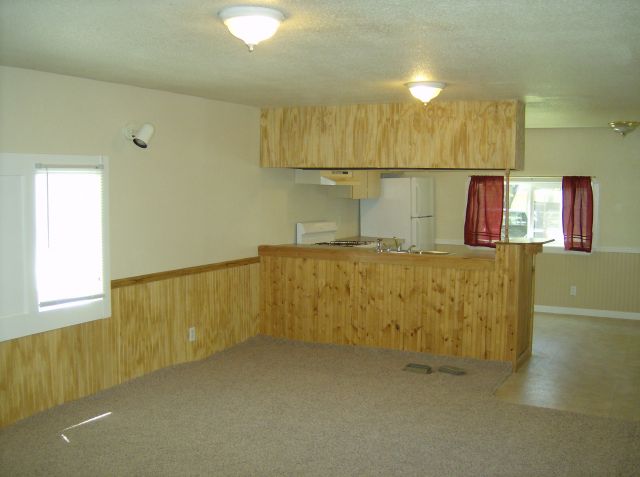 Living Room & Kitchen Combination