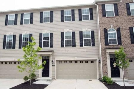 Click to learn more about this rental...