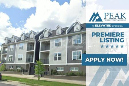 Click to learn more about this rental...