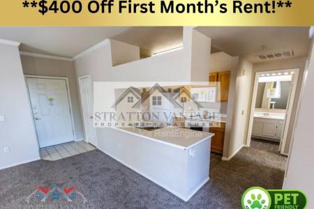 Click to learn more about this rental...