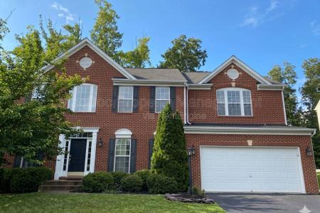 Click to learn more about this rental...