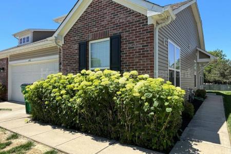 Click to learn more about this rental...