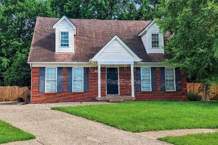 Click to learn more about this rental...