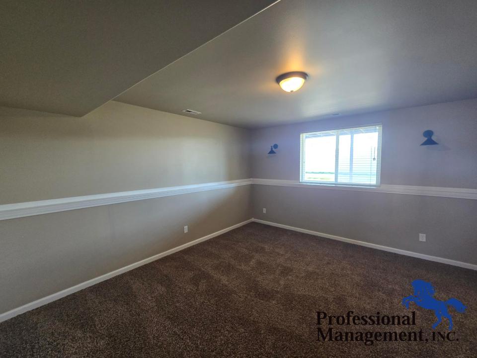 Basement Living Area