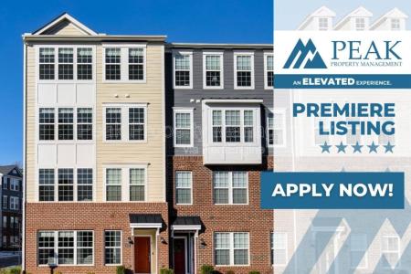 Click to learn more about this rental...