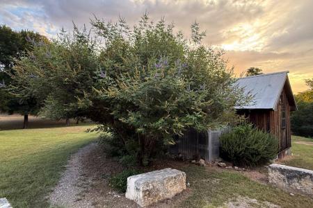 Click to learn more about this rental...