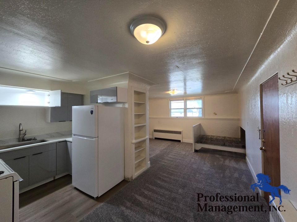 Kitchen and Living Room W/Murphey Bed