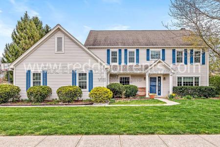 Click to learn more about this rental...
